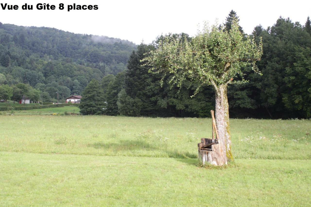 Gites Typiques Au Coeur Des Hautes Vosges Saulxures-sur-Moselotte Quarto foto