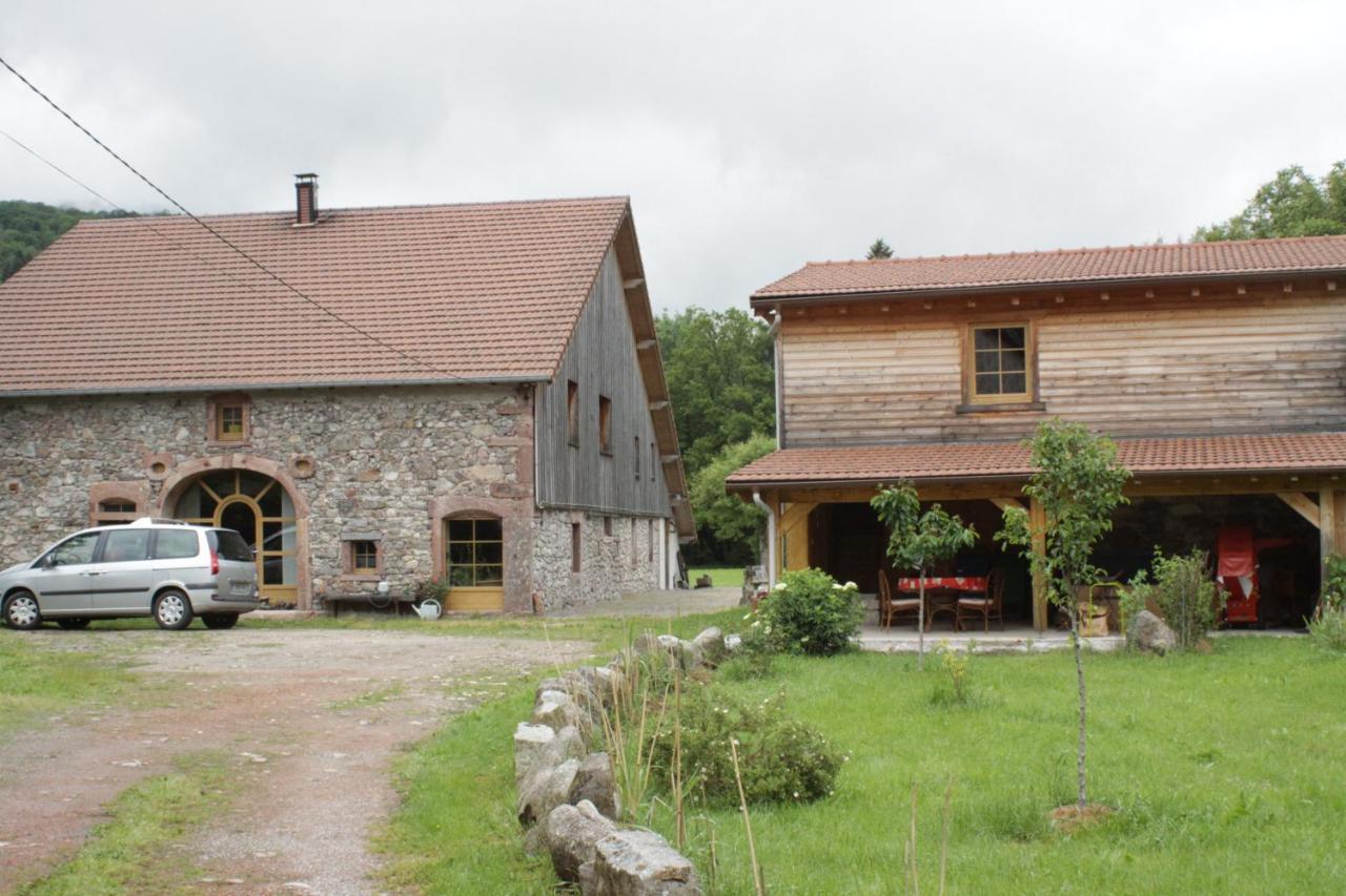 Gites Typiques Au Coeur Des Hautes Vosges Saulxures-sur-Moselotte Exterior foto
